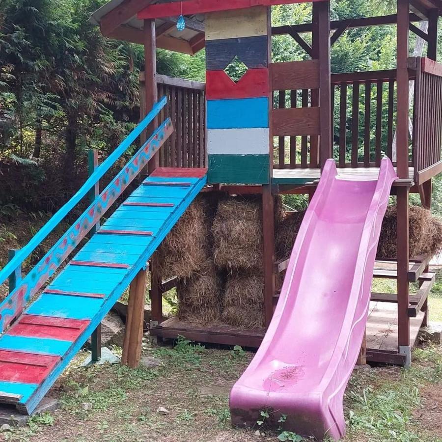 Kalmul Naturii, Iuresul Padurii Firiza Экстерьер фото